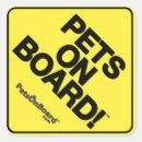 Recherche de chien bord autocollants Chats