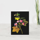 Zoek naar vintage botanical kaarten Bloem