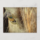 Recherche de oeil de cheval cartes postales Noir