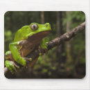 Recherche de geant tapis souris Grenouille