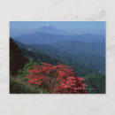 Recherche de fuji cartes postales Rouge