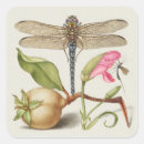 Zoek naar insect stickers Entomologie