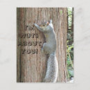 Recherche de nuts cartes postales Drôle