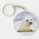 Recherche de bébé phoque accessoires Neige