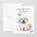 Zoek naar bichon frise briefkaarten Verjaardag