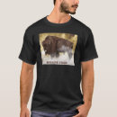 Recherche de amérindien tshirts Lakota
