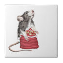 Recherche de rat carreaux Rongeur