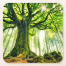 Recherche de troncs dessous de verres Bois