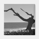 Zoek naar driftwood magneten Strand