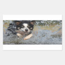 Recherche de colleys de frontière autocollants Animal