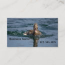 Recherche de bec cartes visite Nature