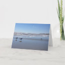 Zoek naar grappige zeemeeuw kaarten Zeegarens