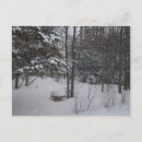 Recherche de winter cartes postales Nature
