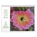 Recherche de macro bureau fournitures Arizona