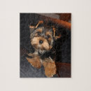 Zoek naar yorkshire terrier puzzels Dog