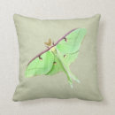 Recherche de luna coussins Insecte