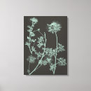 Recherche de charbon de bois posters Fleurs