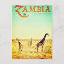Recherche de sud africain cartes postales Girafe