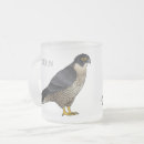 Recherche de pélerin tasses Faucon pèlerin