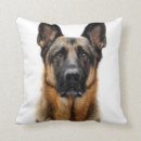 Zoek naar german shepherd kussens Schattig