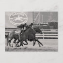 Recherche de cheval de course cartes postales Cavalier