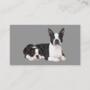 Recherche de boston ma cartes visite Chiot