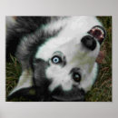 Recherche de paw posters Dog
