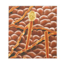 Recherche de électronique blocsnotes Effet de couleur