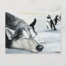 Recherche de husky cartes postales Chiot