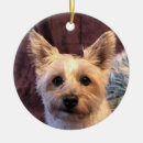 Zoek naar cairn terrier ornamenten Doodsbang
