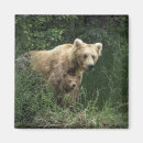 Zoek naar kubus magneten Schattige babydieren