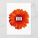 Recherche de gerberas cartes postales Fleur