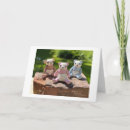 Recherche de nounours vœux cartes Toute personne
