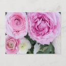 Recherche de région multi Floral
