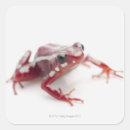 Recherche de reptiles autocollants Balance