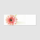 Recherche de gerbera bureau fournitures Marguerie