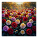 Recherche de signification des fleurs posters Toute personne