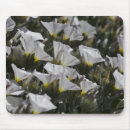 Recherche de blanc fleur tapis souris Floraison