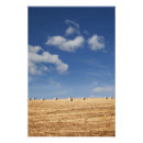 Recherche de foin posters Agriculture