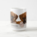 Recherche de de chiot de boxeur Chiots