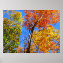Zoek naar esdoorns posters Herfst