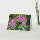 Recherche de rhododendrons vœux cartes Nature