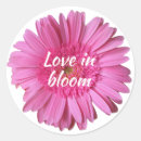 Recherche de marguerite rose autocollants Pour elle
