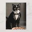 Recherche de pizzas cartes postales Chef