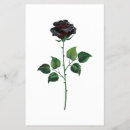 Recherche de fleur rose prospectus Bourgeon