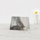 Recherche de inspirational photographie Photographe