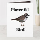 Zoek naar plevier Vogel