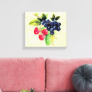 Recherche de rasberry Fruit