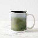 Recherche de de babouin tasses Faune