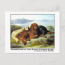 Recherche de gordon cartes postales Chien